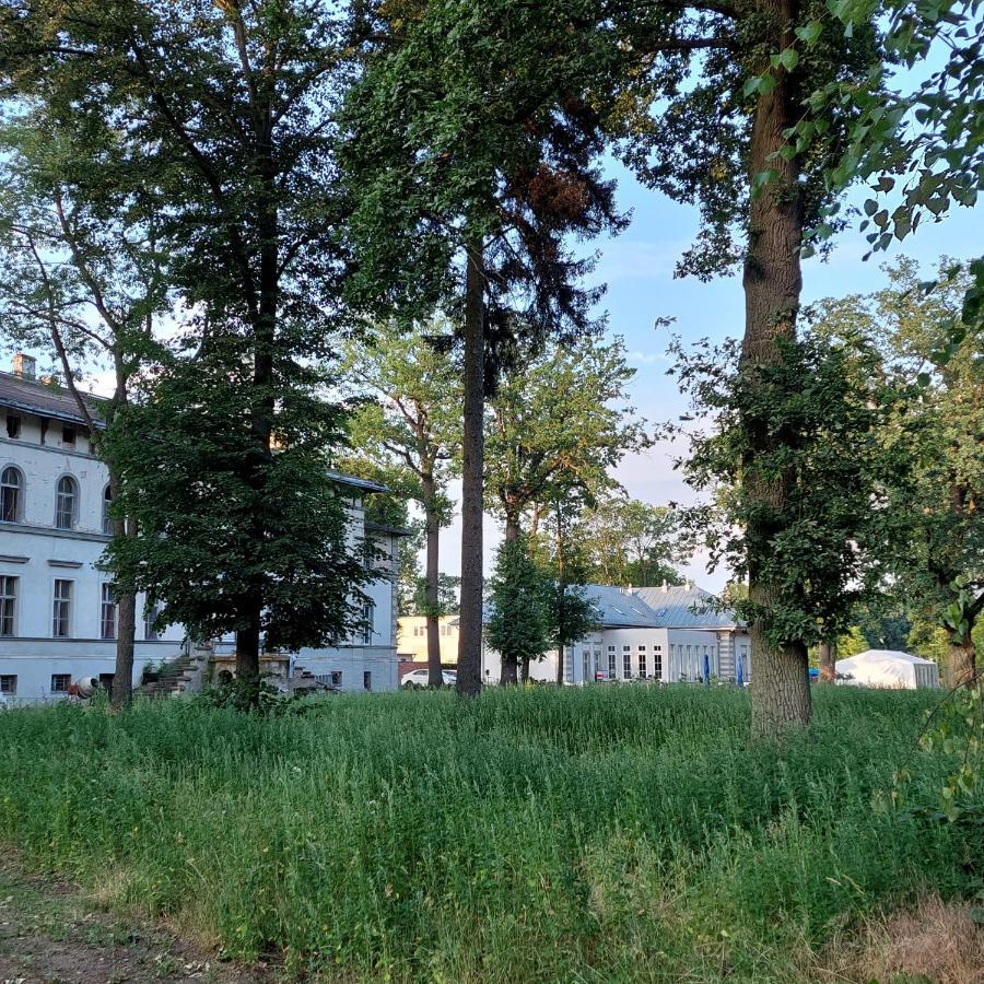 Palac Dabrowka Rawicz Exterior foto